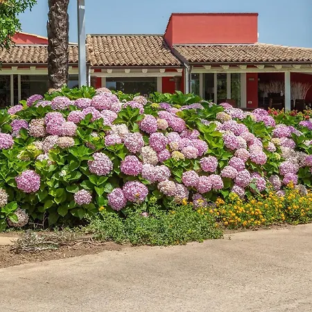 Il Giardino Degli Dei Villa San Leone