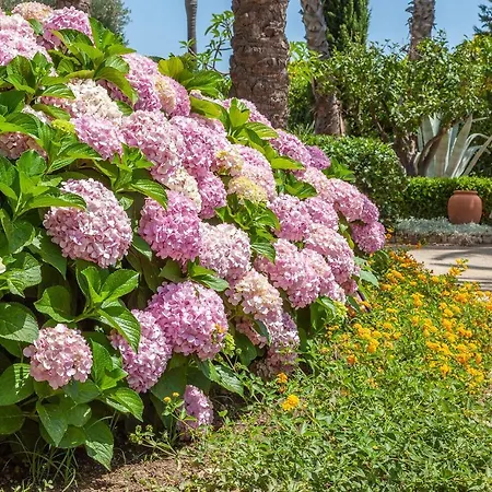 Il Giardino Degli Dei * San Leone